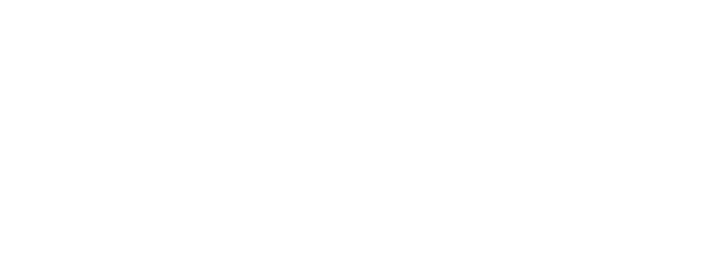 K.W BRUUN // ADAM  logo
